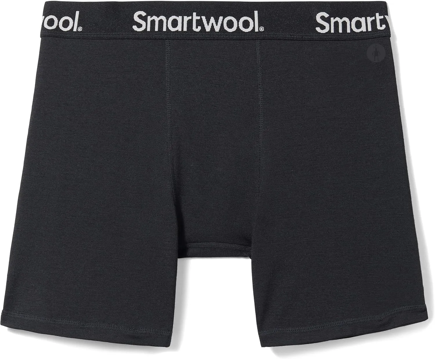 Smartwool Men's Active Boxer Brief Boxed